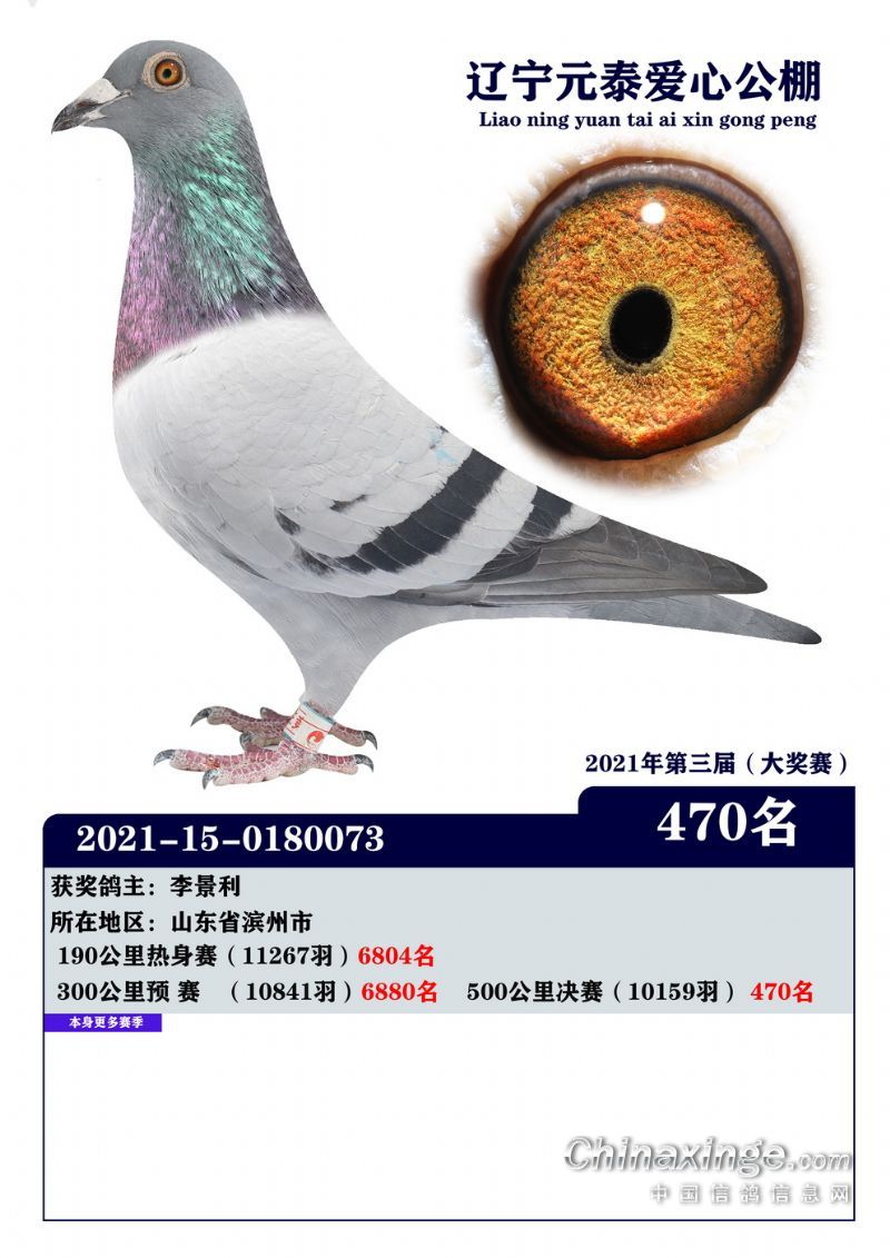 ����Ԫ̩��������񽱸�