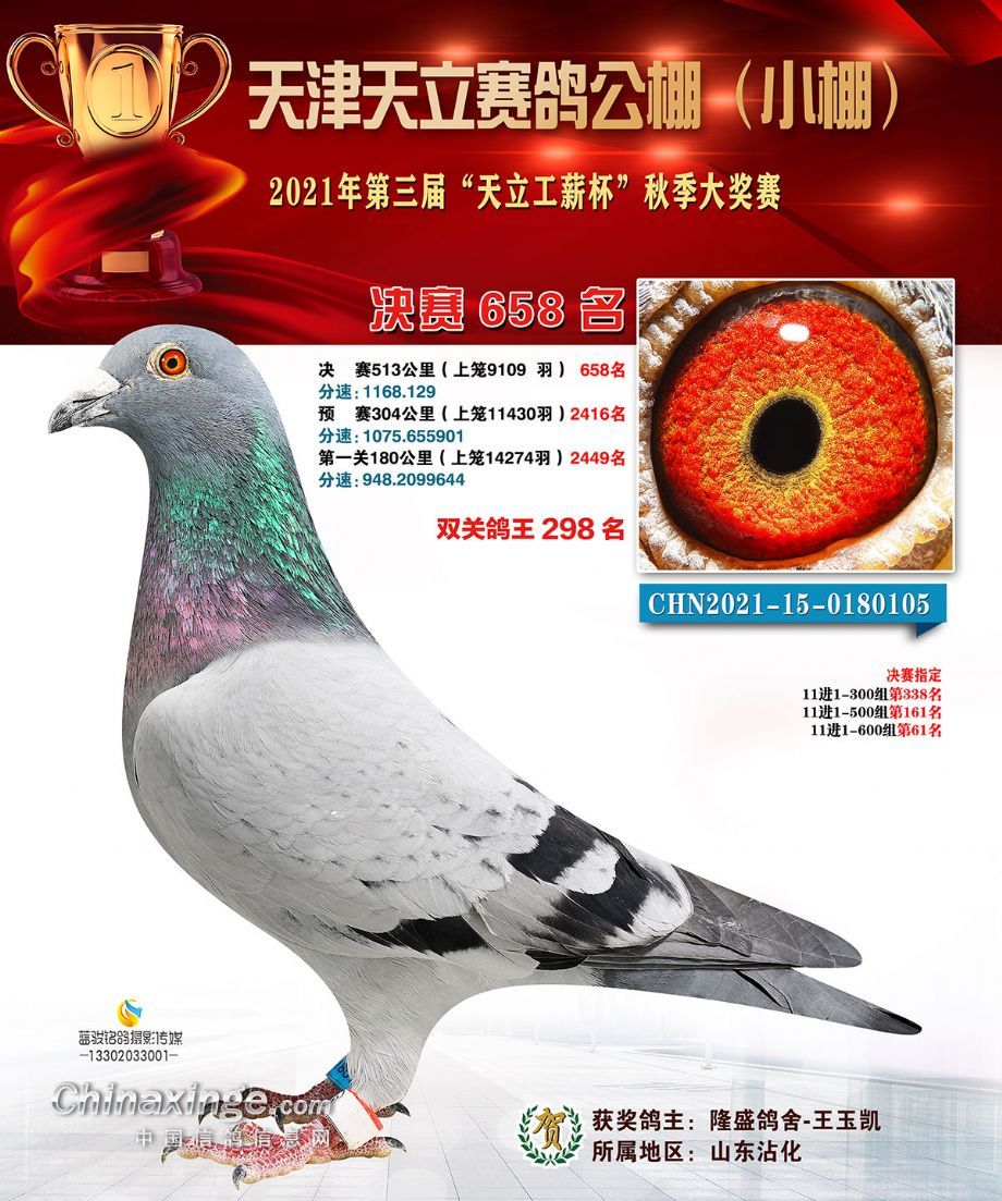 ���������������񽱸�