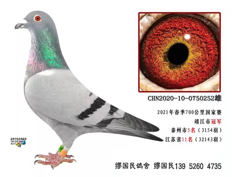 ˹252