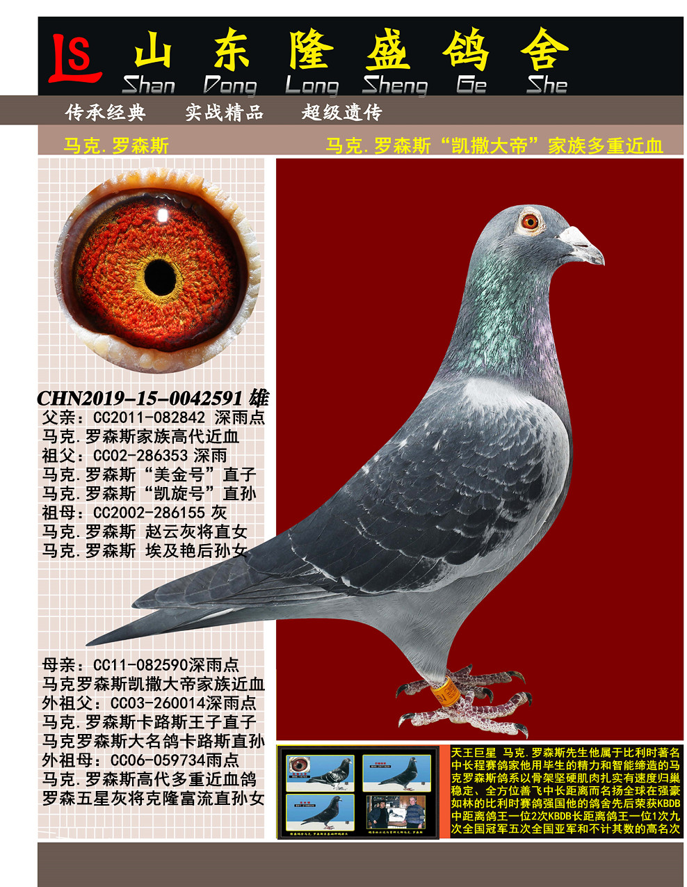 马克罗森斯