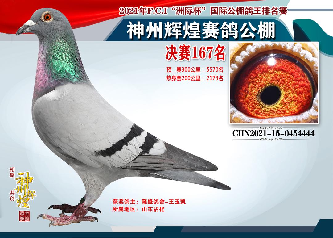 ���ݻԻ;����񽱸�