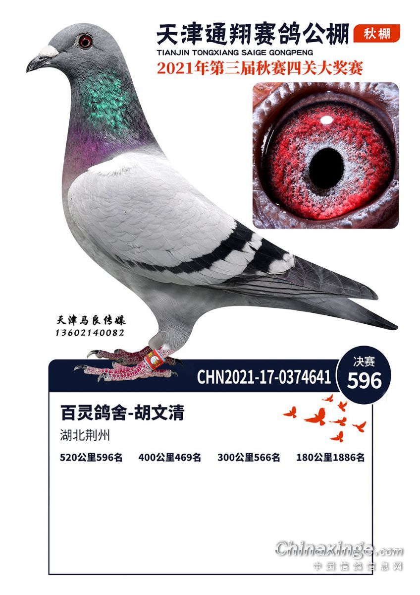 ͨ蹫Qِ596