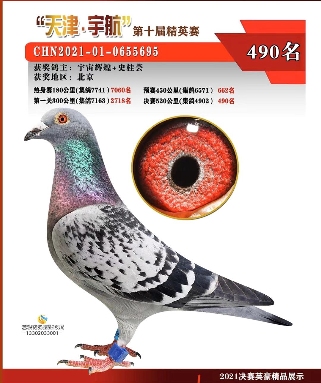 ��������Qِ490��