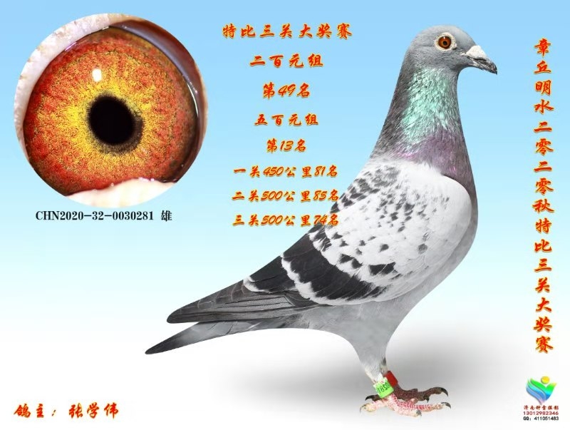 (zhn)N