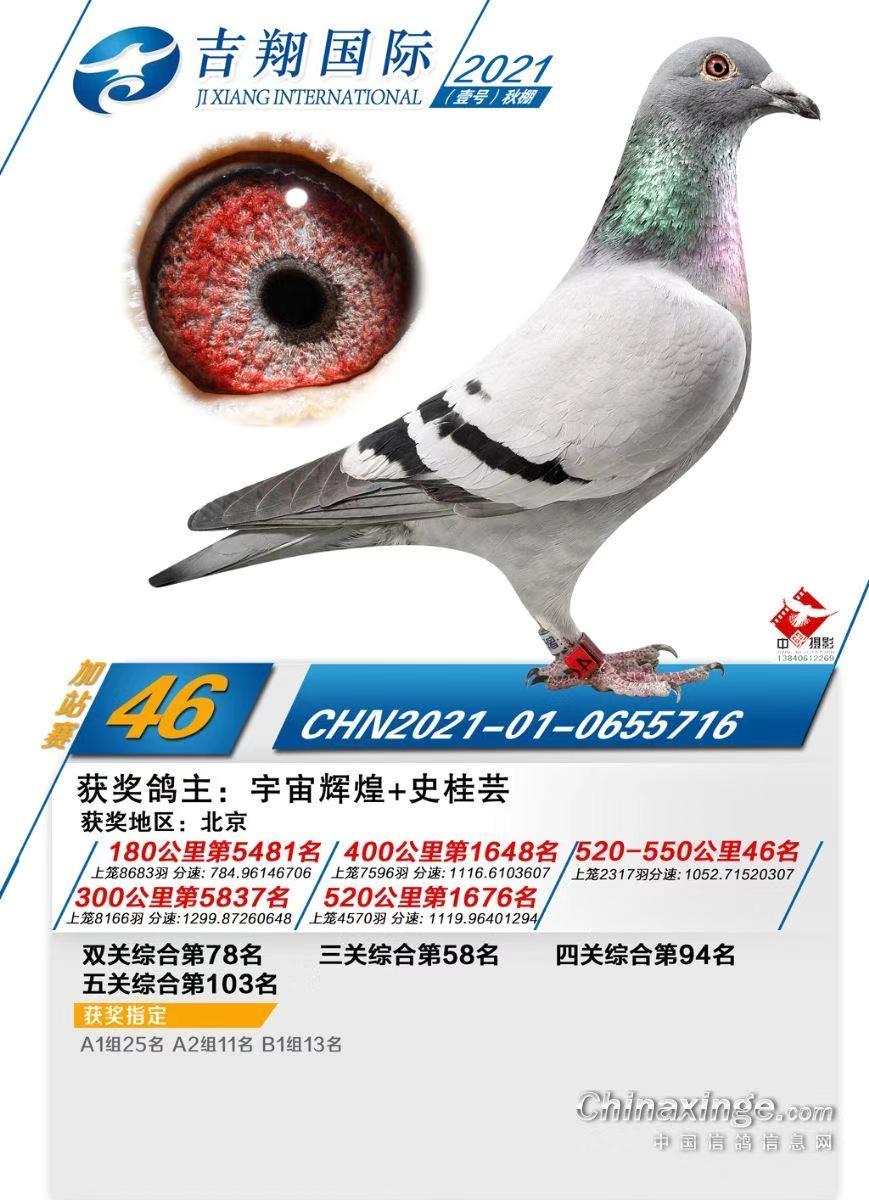 �����Ҽ̖����ӑ�(zh��n)46��