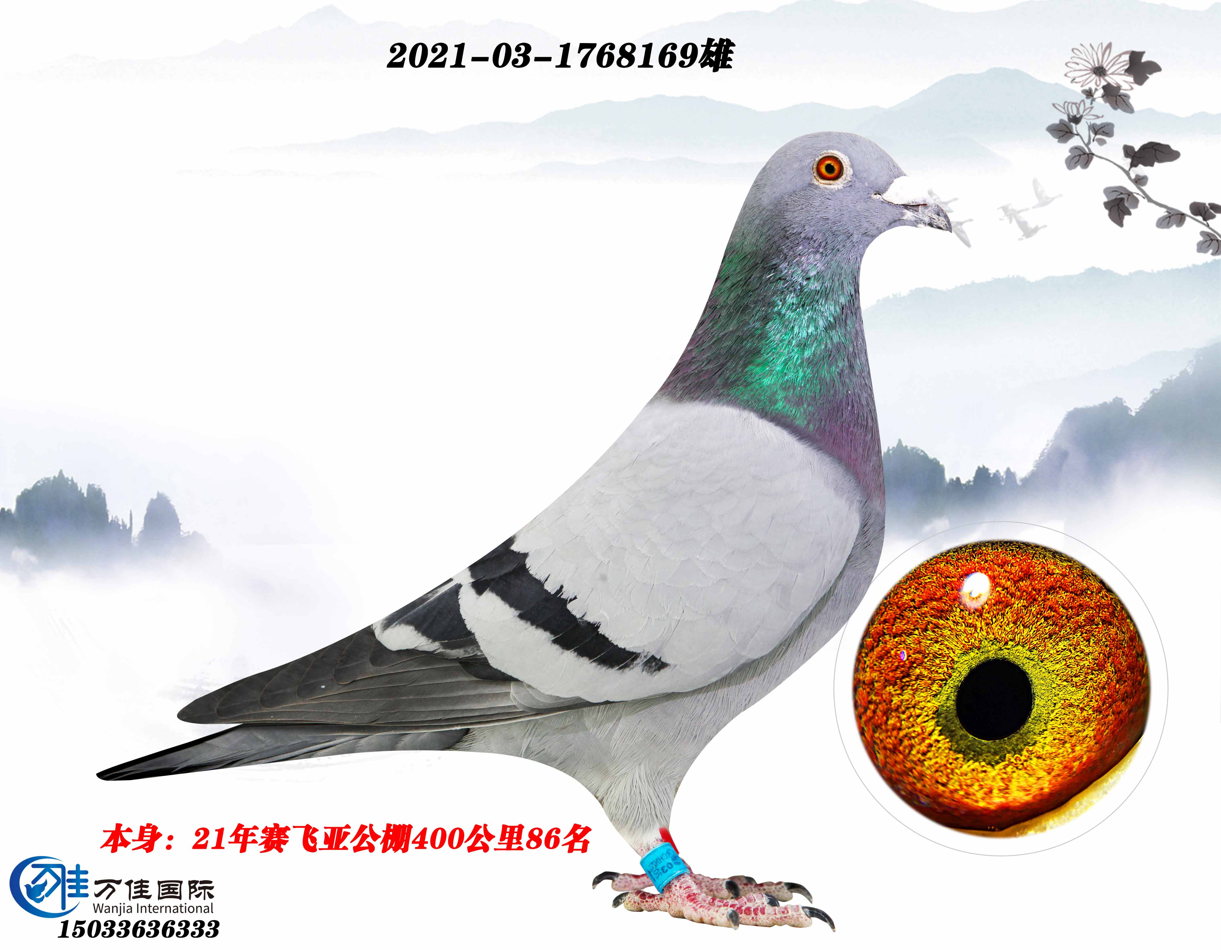 21ِw40086