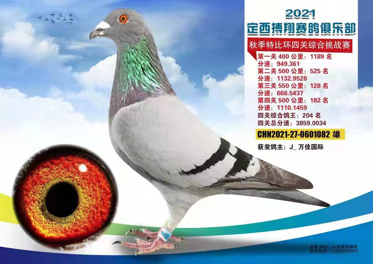 21궨㘷P(gun)C204