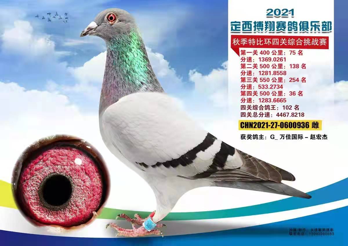 21궨㘷P(gun)C102
