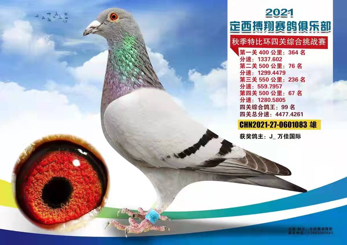 21궨㘷P(gun)C99