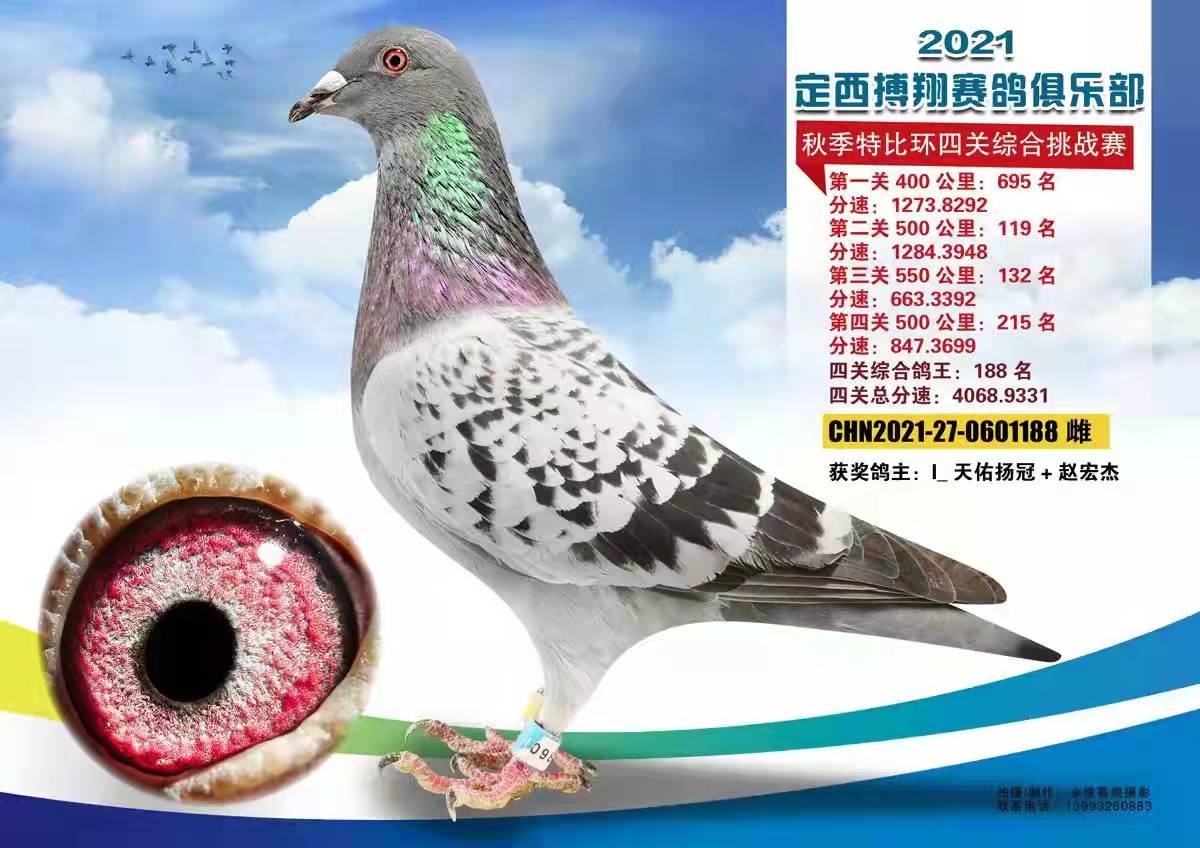 21年定西博翔俱乐部四关综合鸽王188名