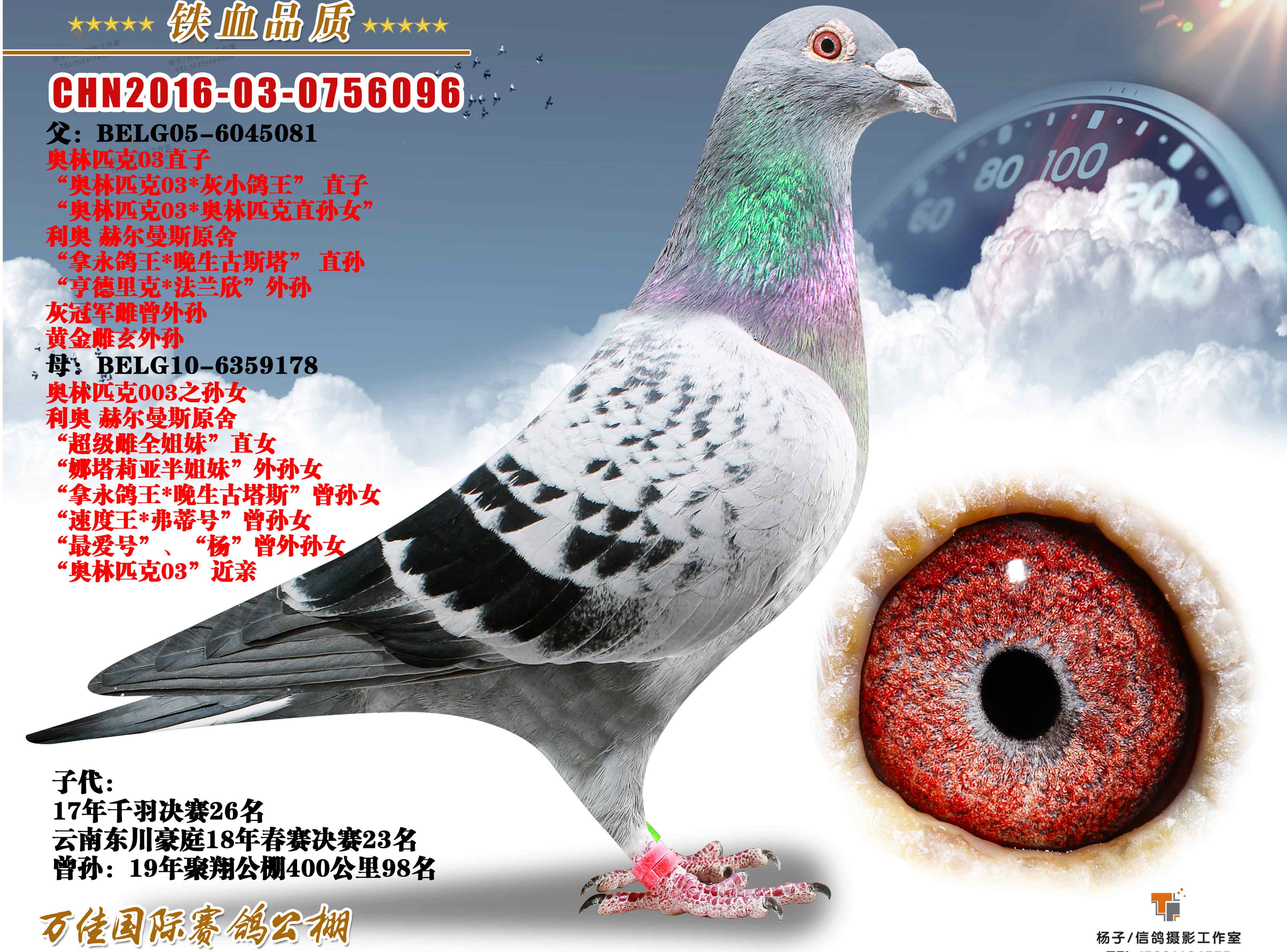Wƥ003ֱO