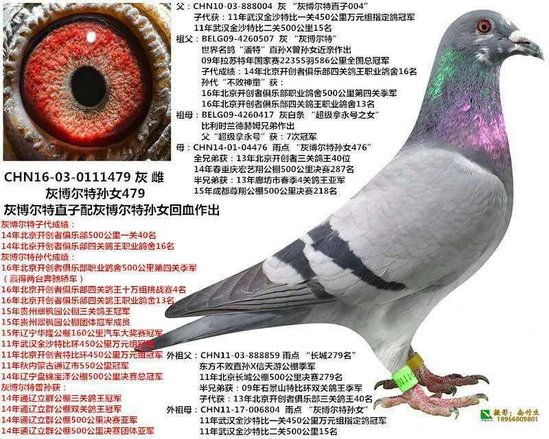 Ҳ،OŮͯȫ