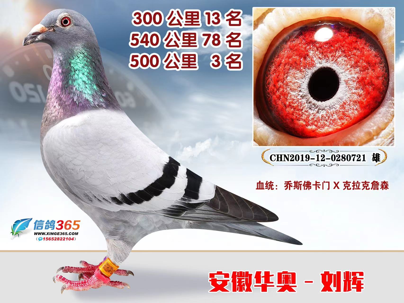 5003