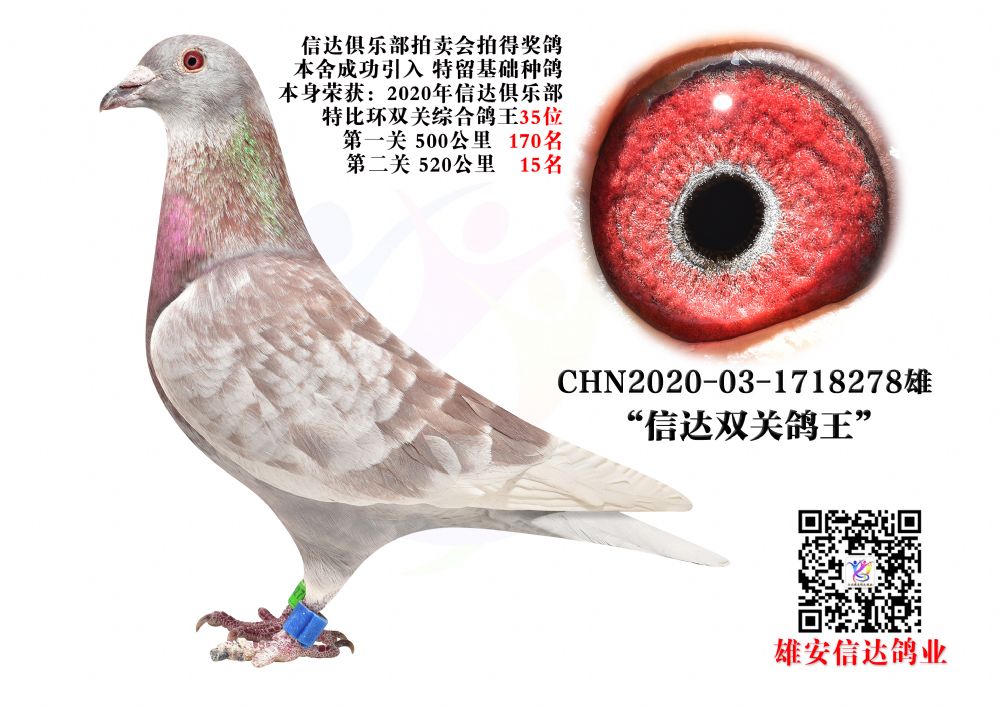_(d)pP(gun)35λ