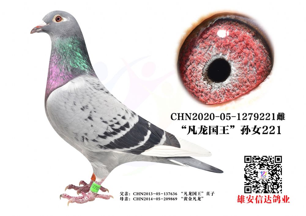 (gu)OŮ.221