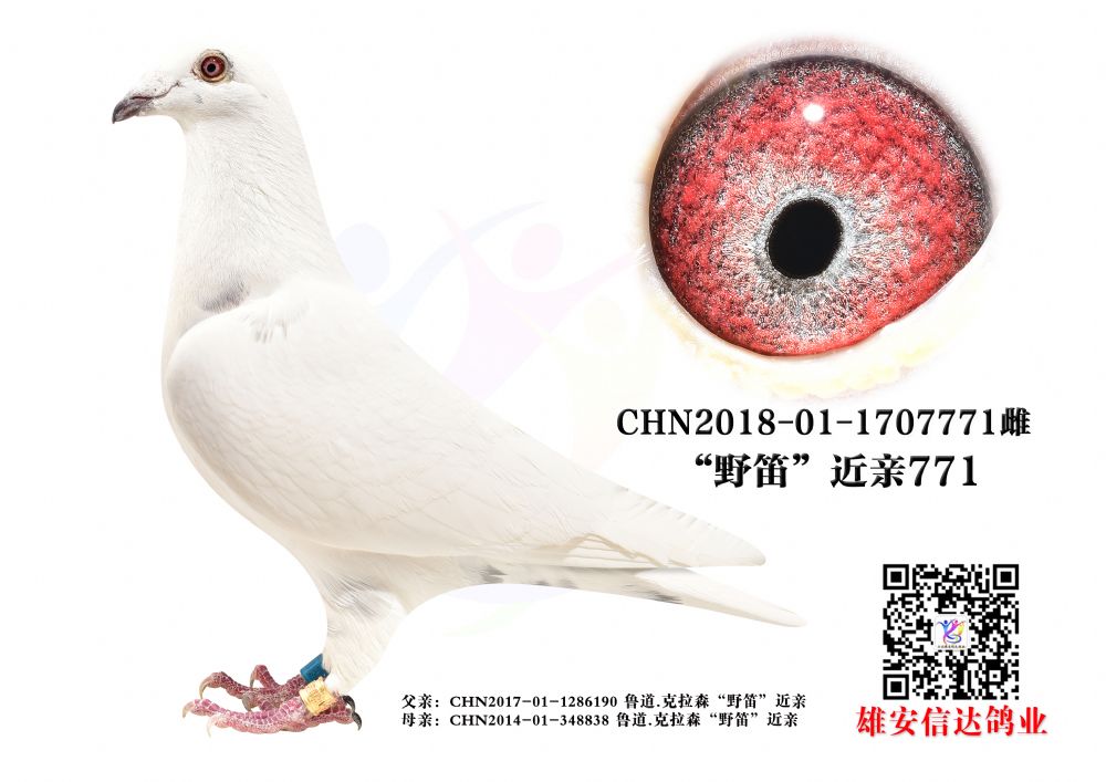 ҰϽH.771