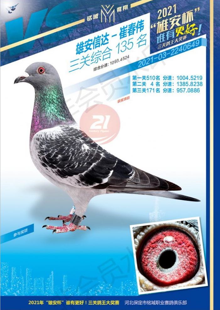 P 135λ