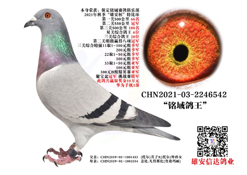 P(gun) 28λ