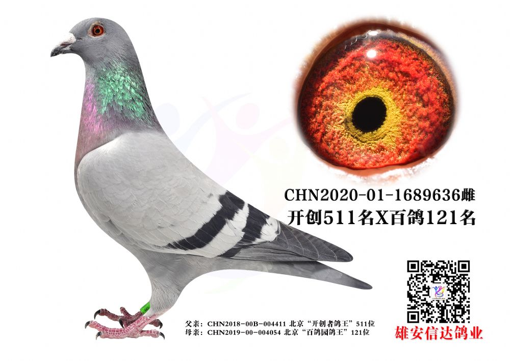 _(ki)(chung)511X121
