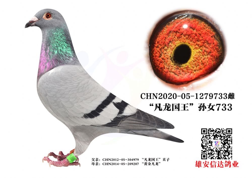 (gu)OŮ.733
