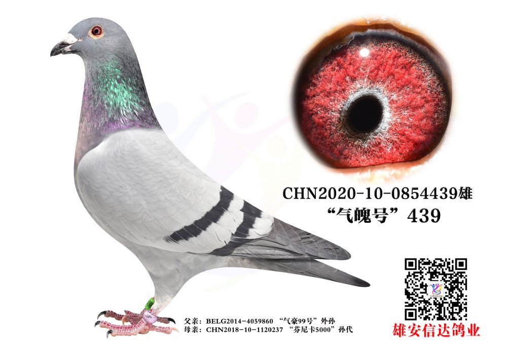 ̖.439