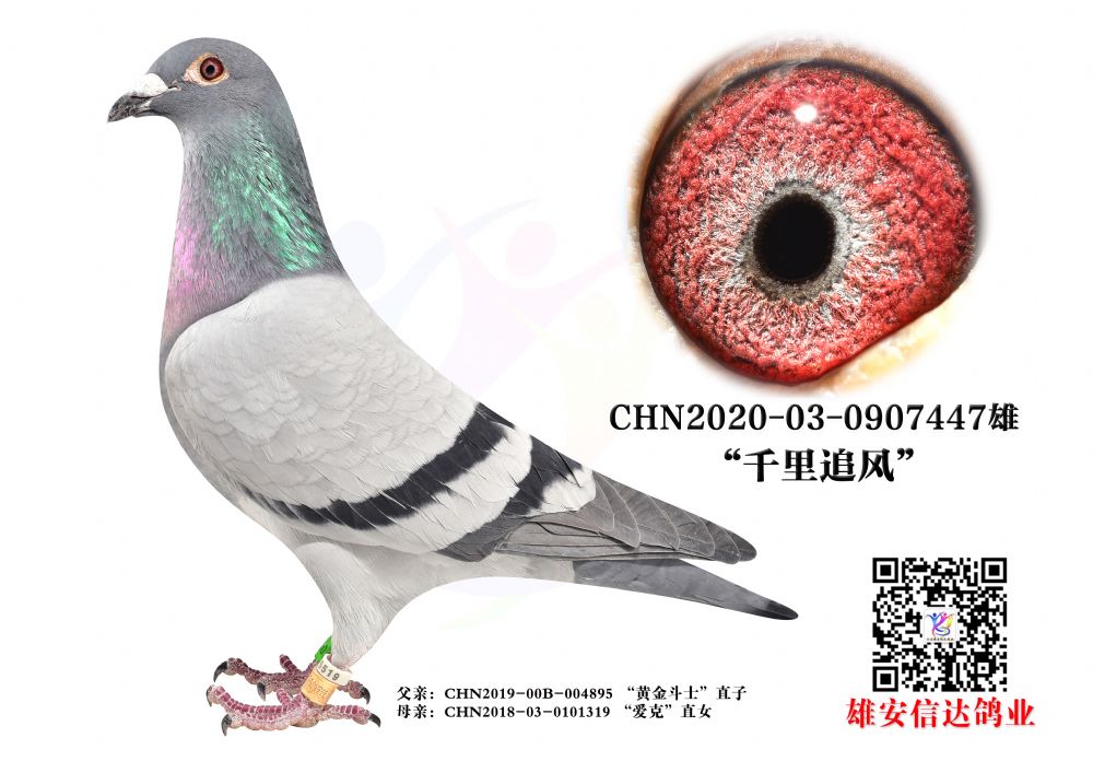 ǧ׷L(fng)