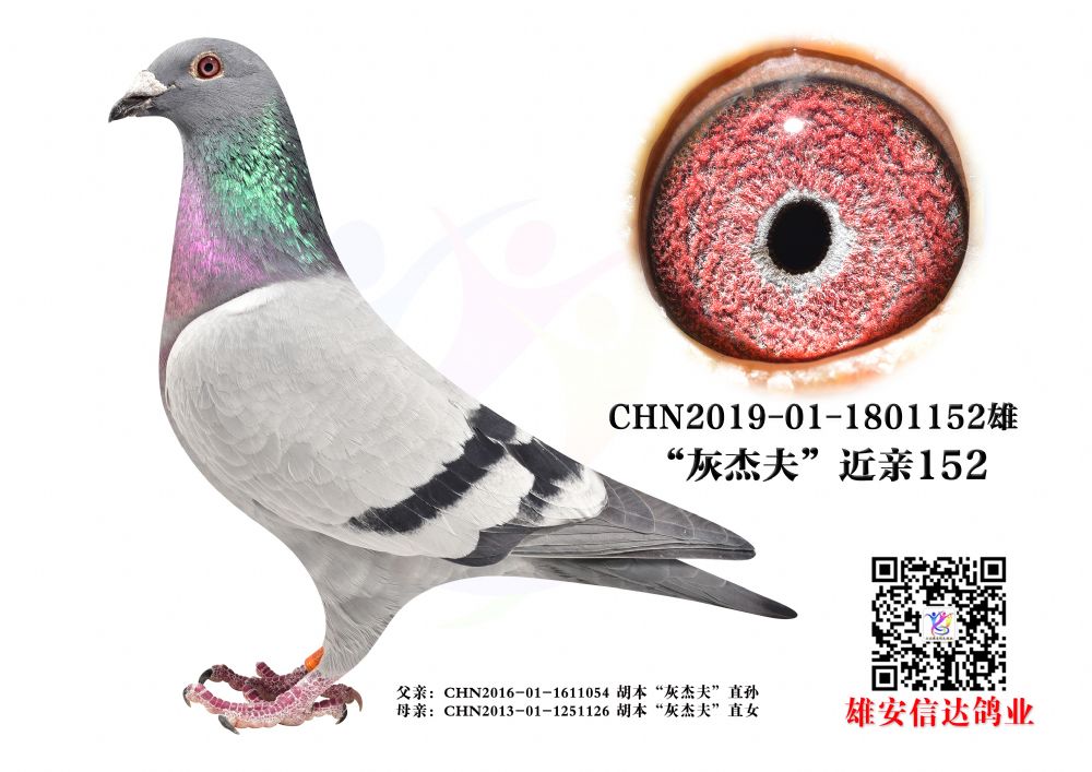 ҽܷH.152