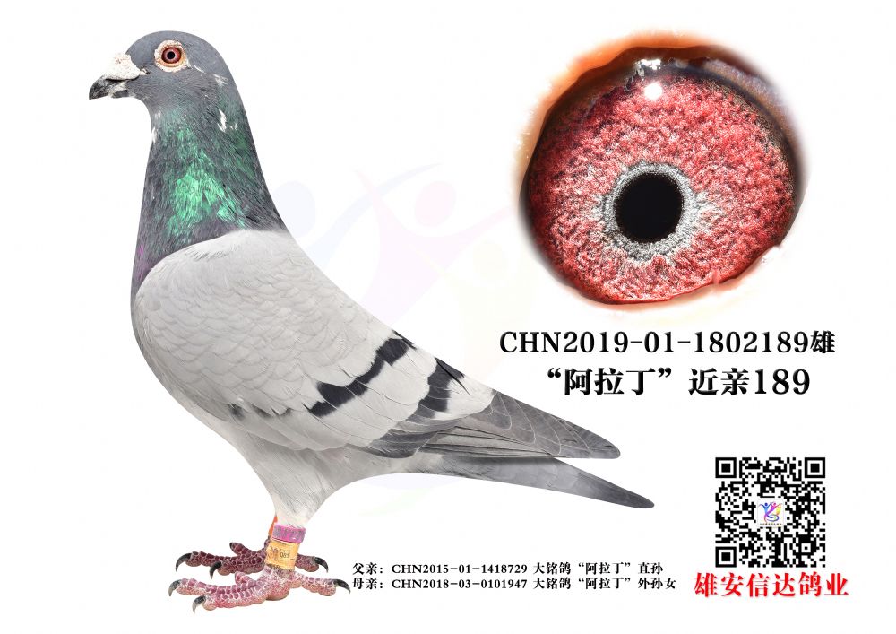 .H189