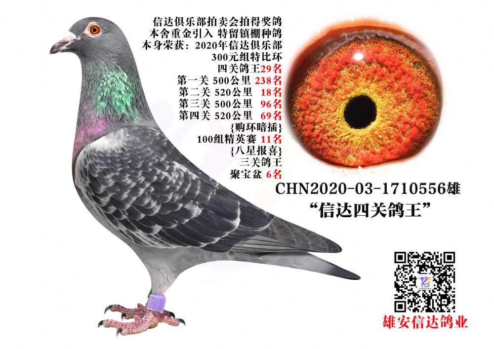 _(d)P(gun)29λ