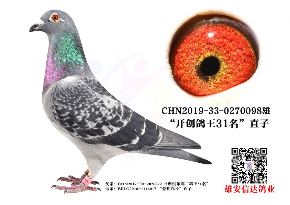_(chung)31.ֱ
