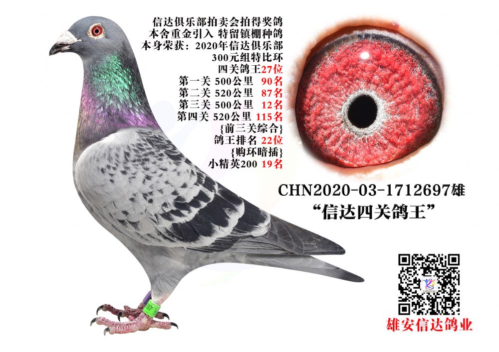 _(d)P(gun)27λ