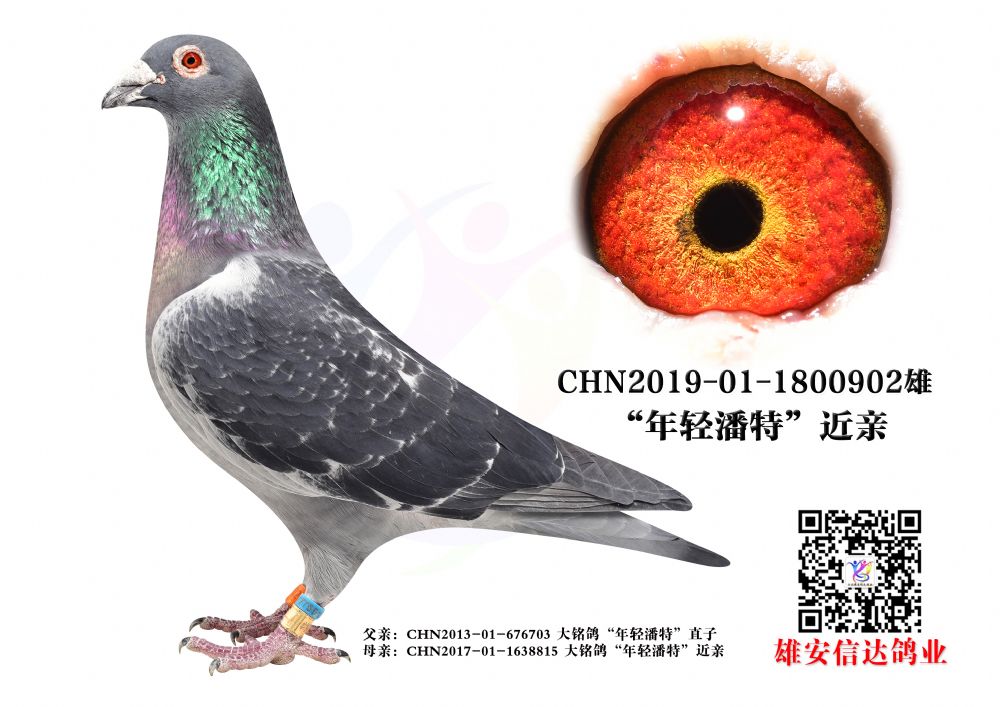 p.H902