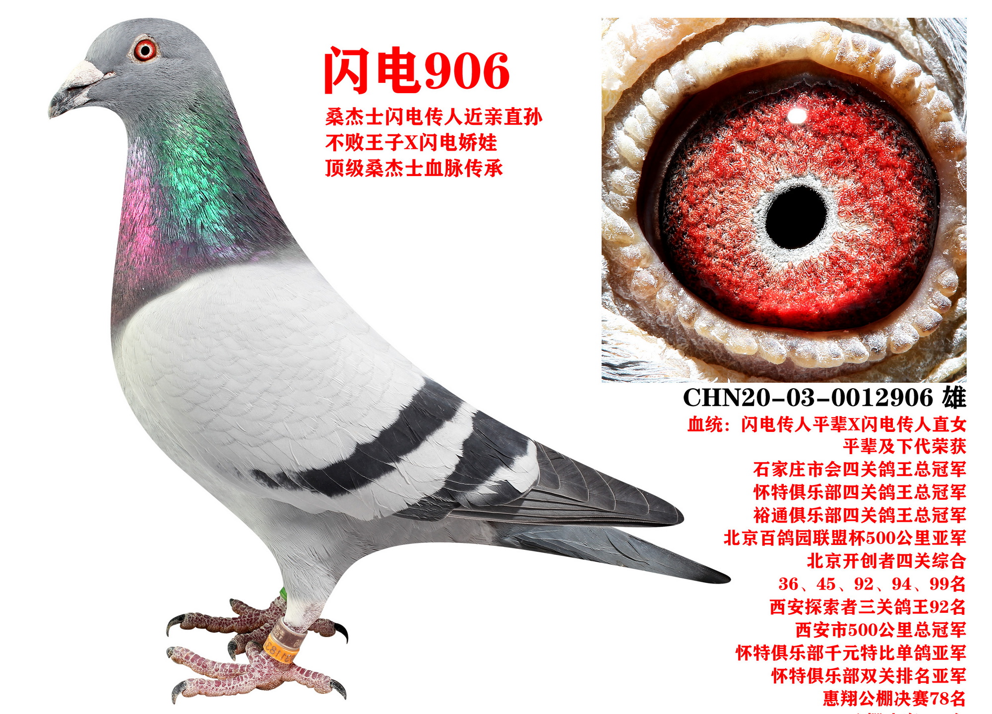 ɣʿ W906