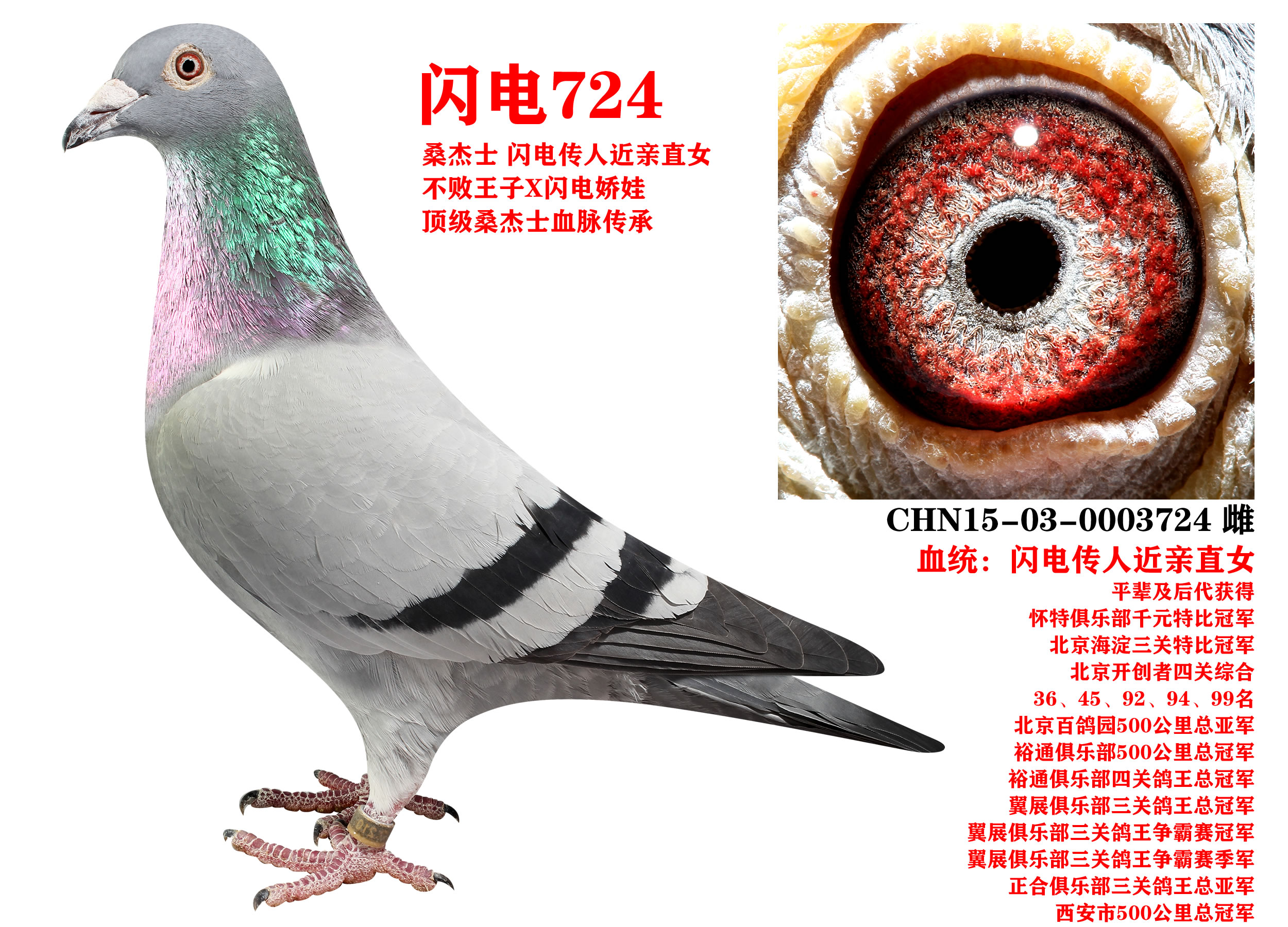 ɣʿ W724