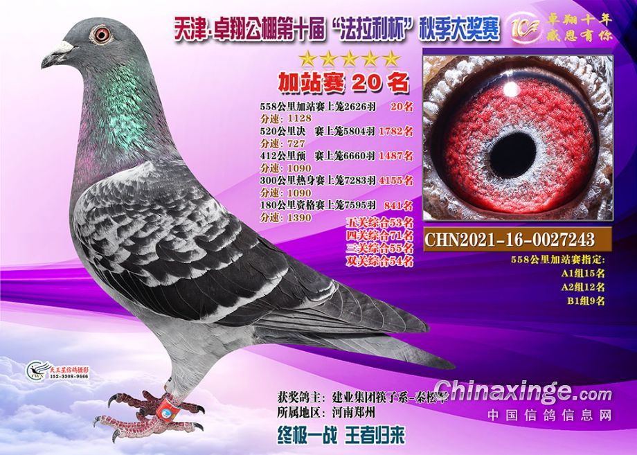 ׿蹫վِ20