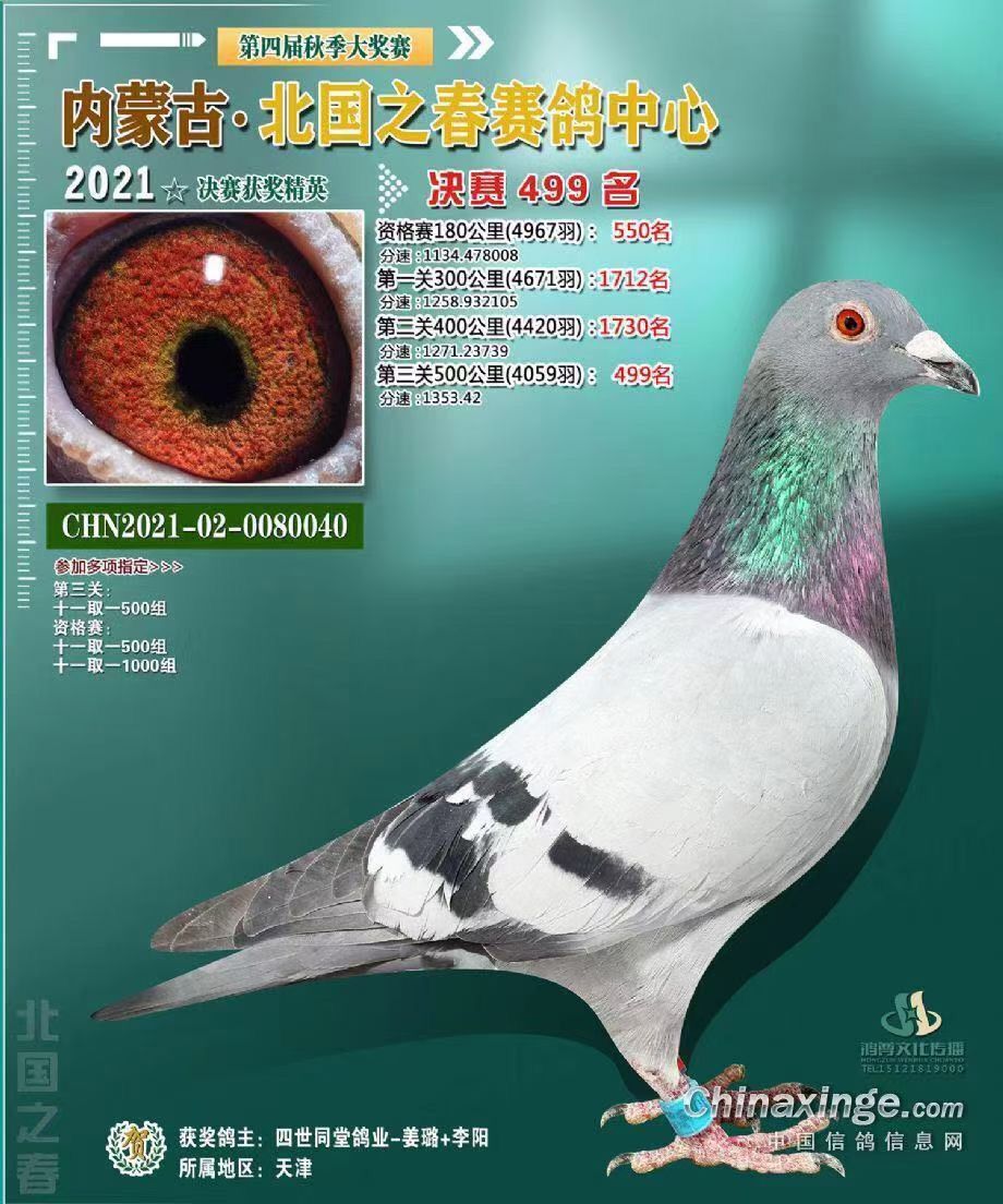 21걱֮Qِ499λ