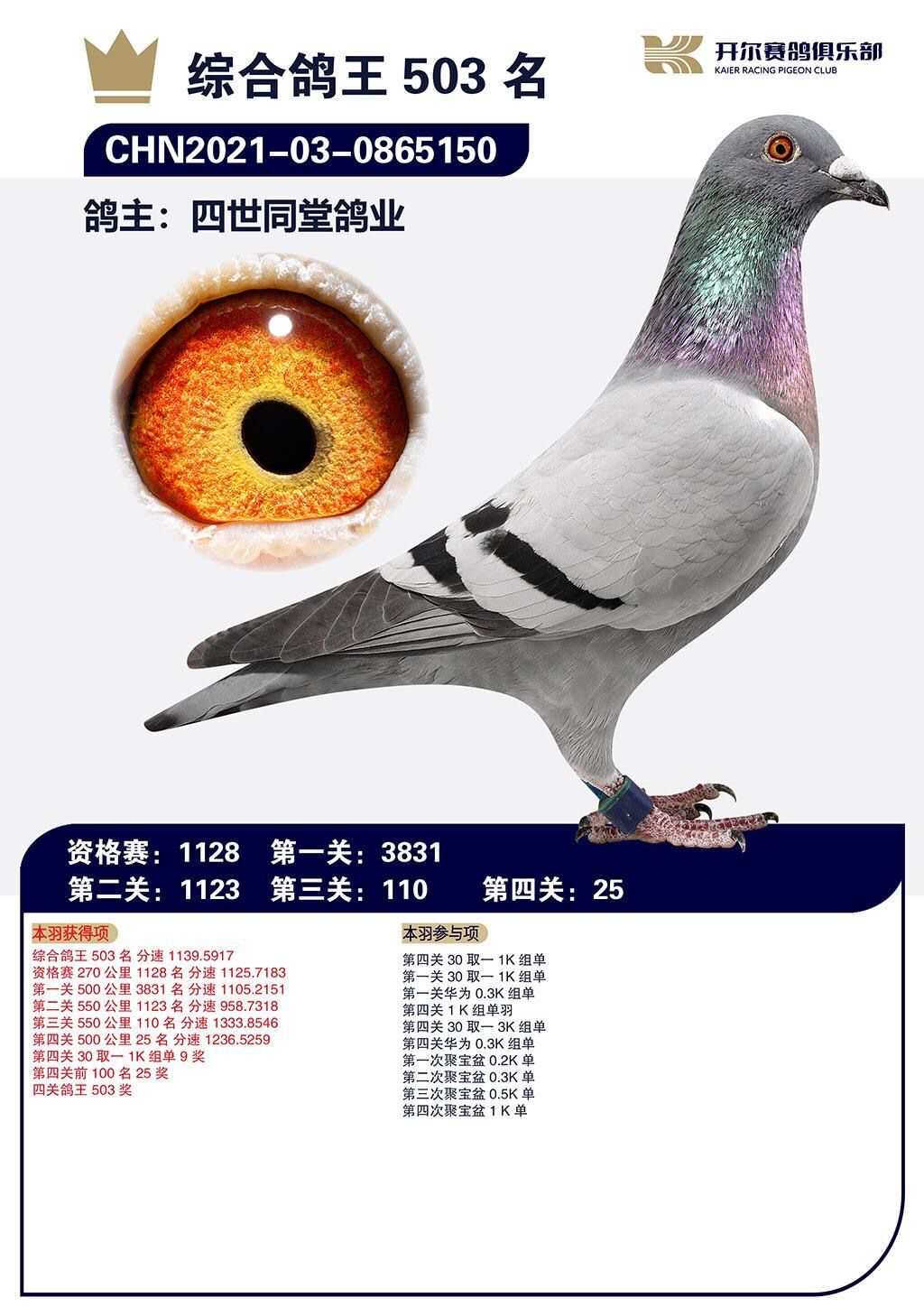 2021_B(yng)C503λ