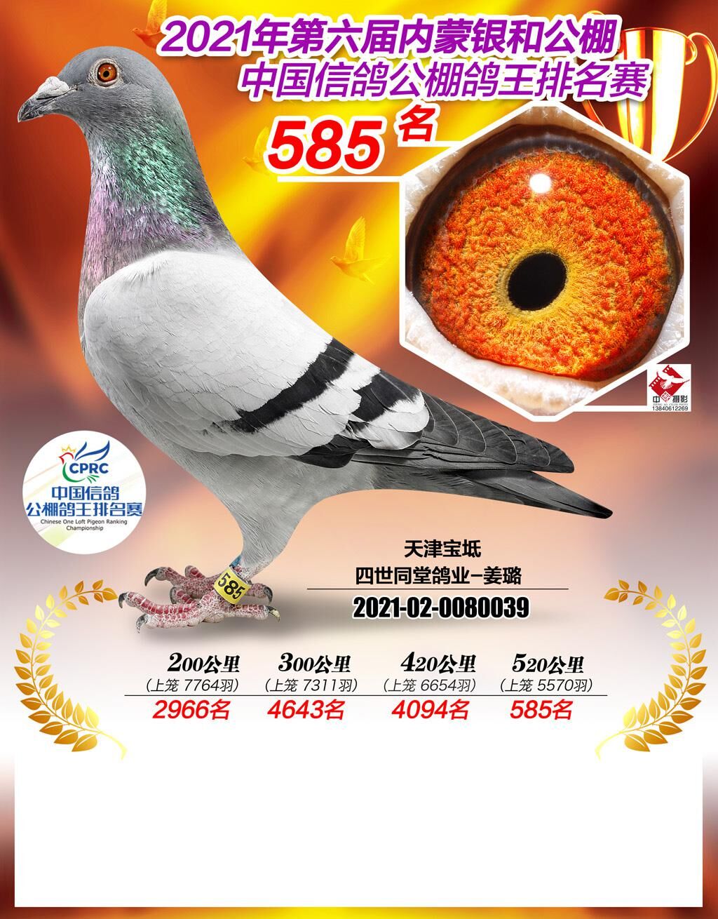 2021yͽ^585λ
