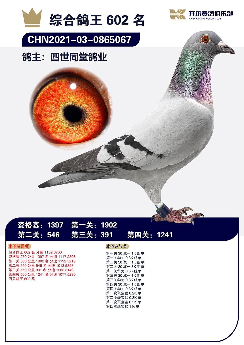 21_B(yng)C602λ