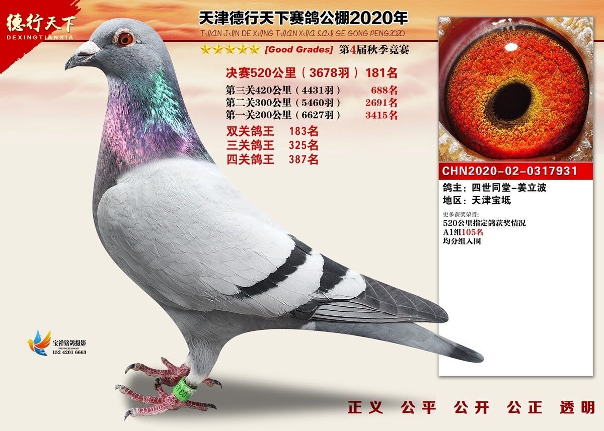 2020¹Qِ181λ
