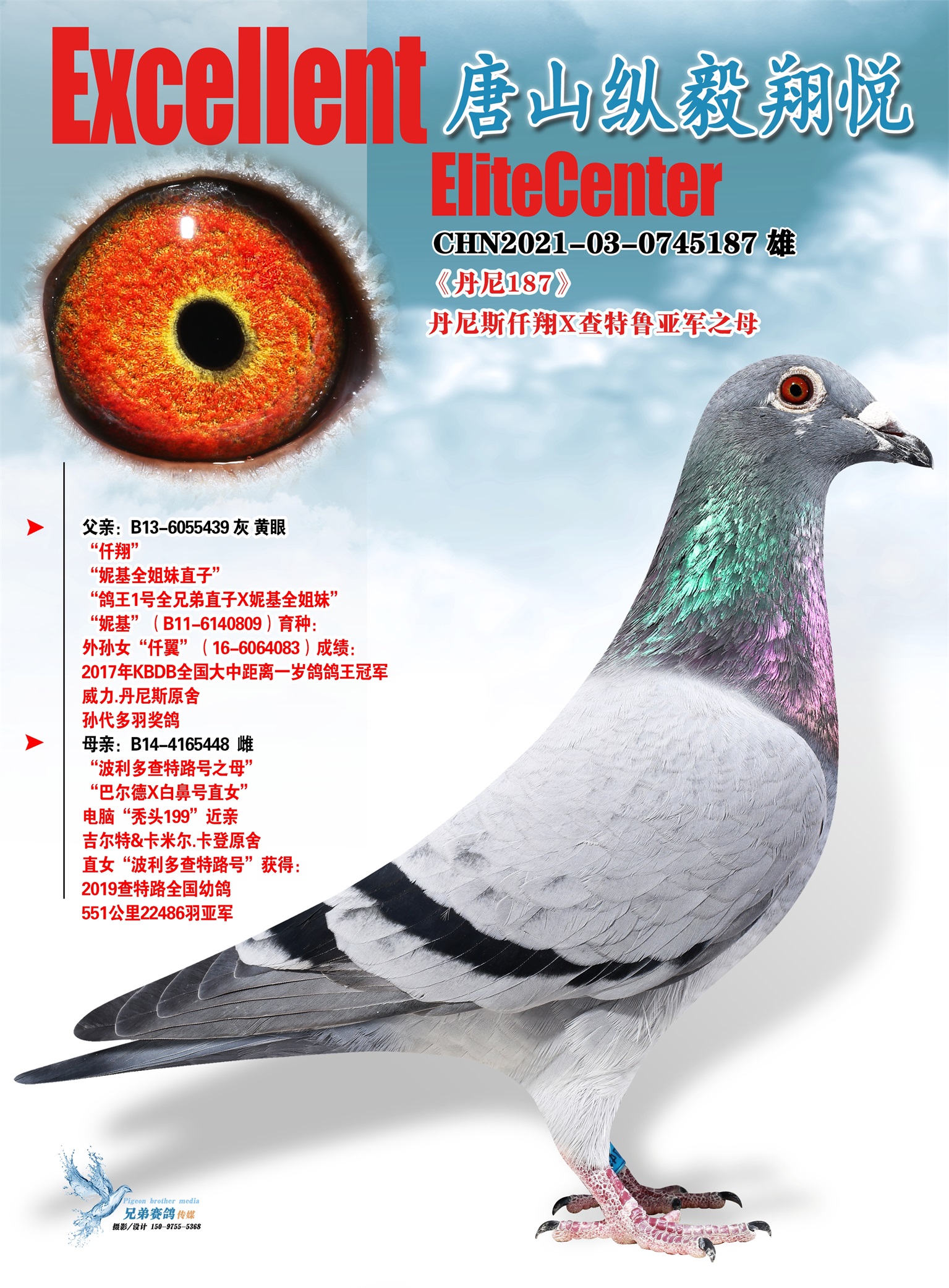 ǧ塤187