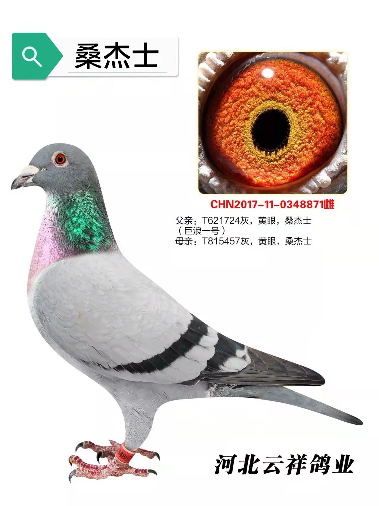 һ̖(ho)ֱŮ