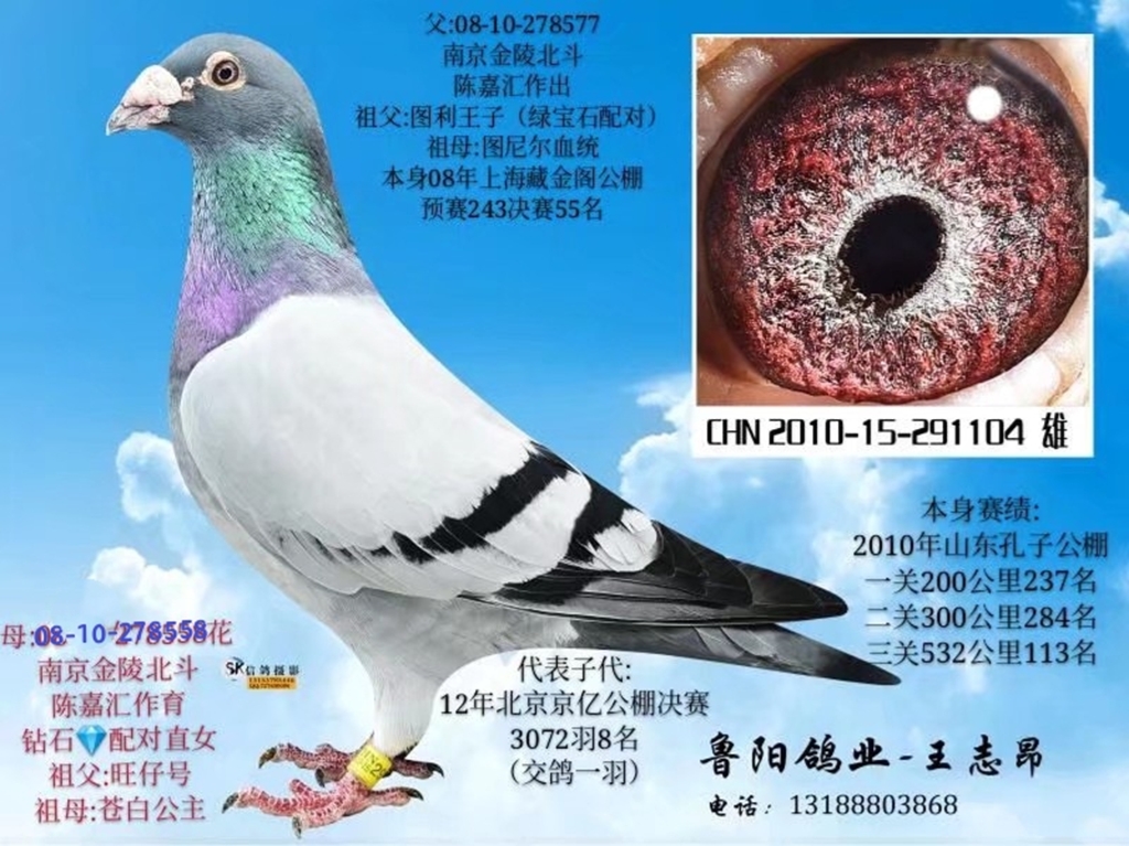 10ӹʹ113۱