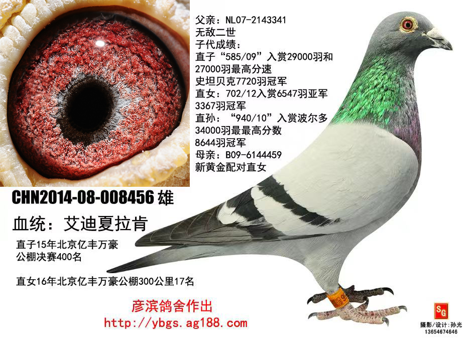 oֱ