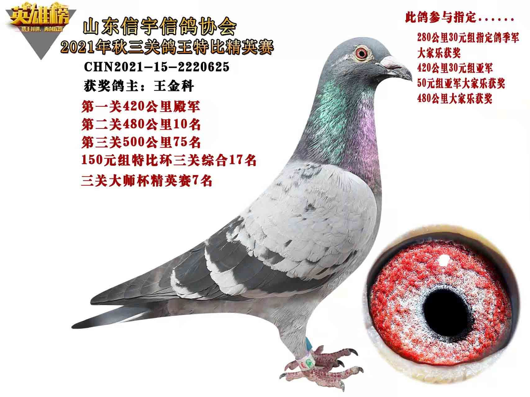 21(hu)@(jing)