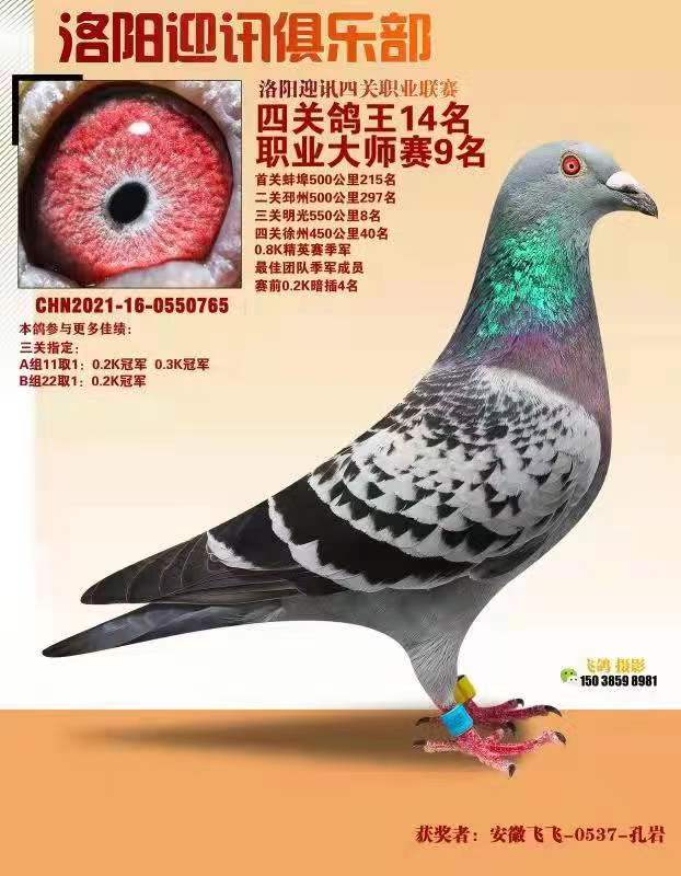 ӭѵ˱9λ