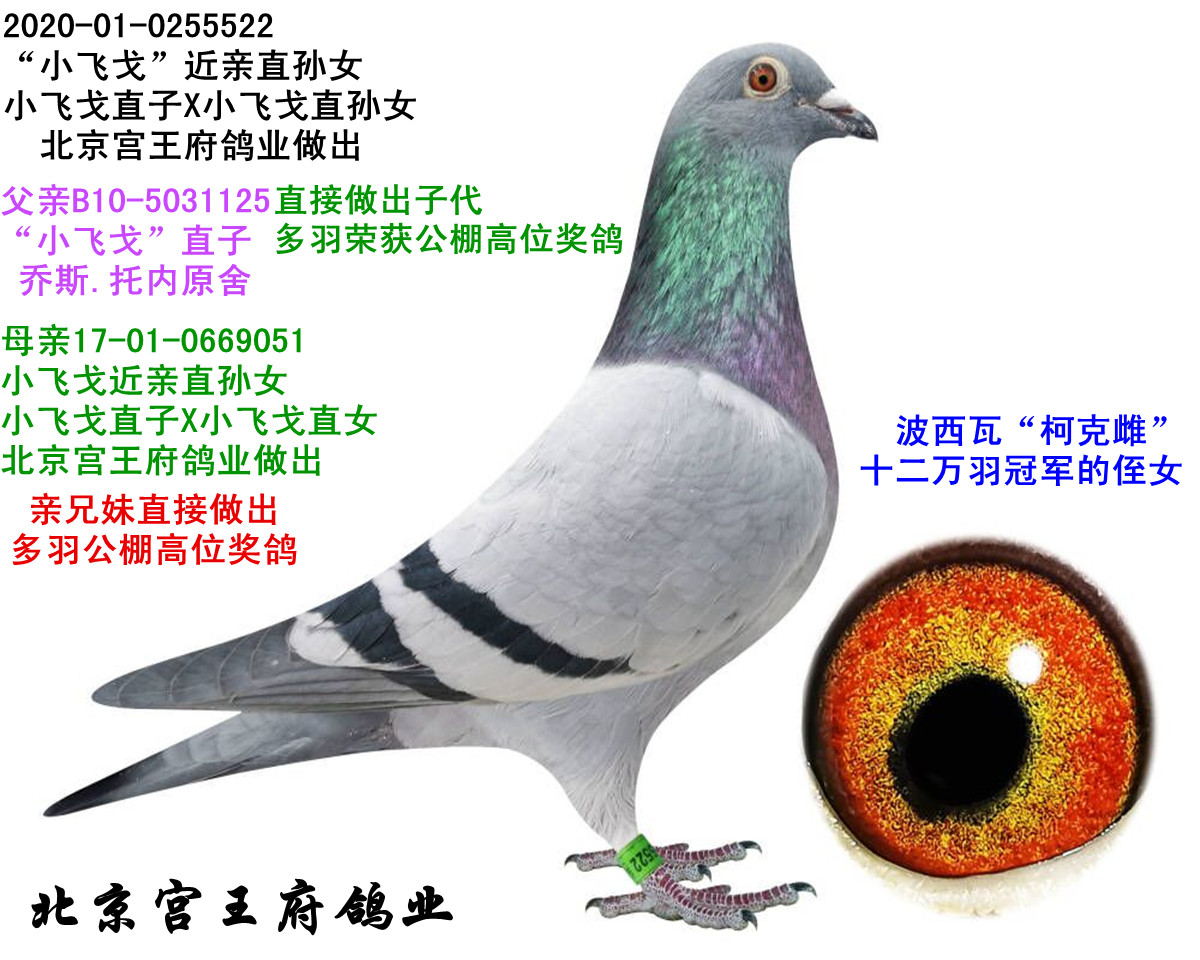 СwHֱOŮ ͬĸ䌦