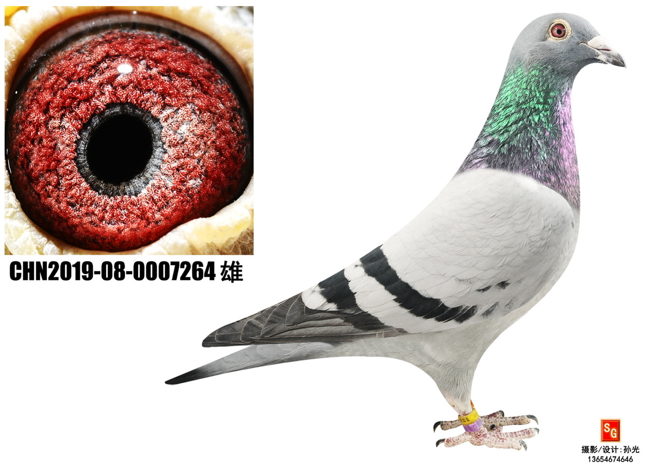 264