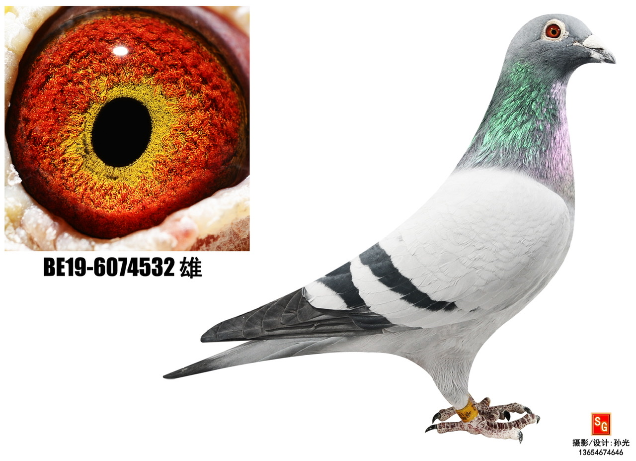 532