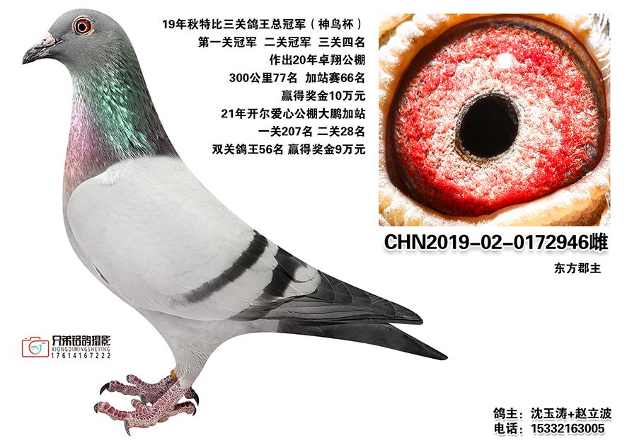 1-CHN2019-02-0172946